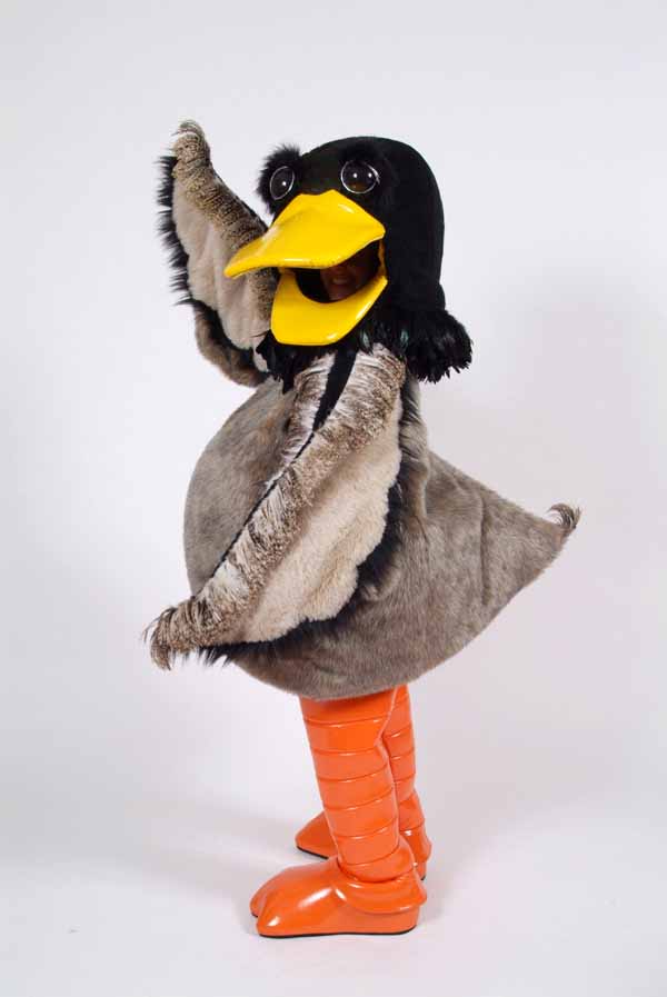 Dawn Duck