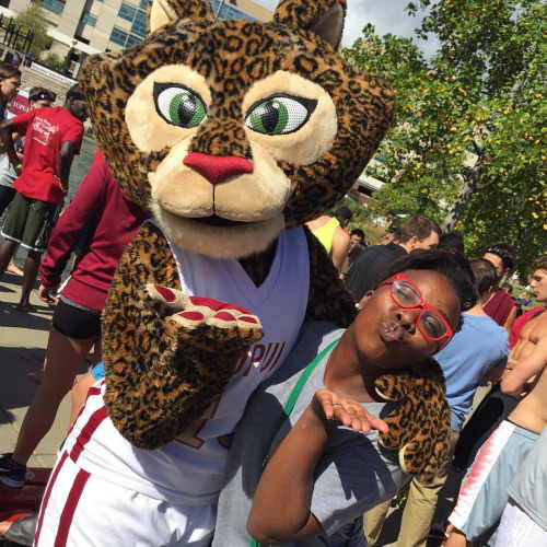 Hodges University - Last week, Hugo the Hodges Panther celebrated his  birthday with Swampee, mascot of the Florida Everblades! #HappyBirthday  #HodgesUniversity #SchoolMascot